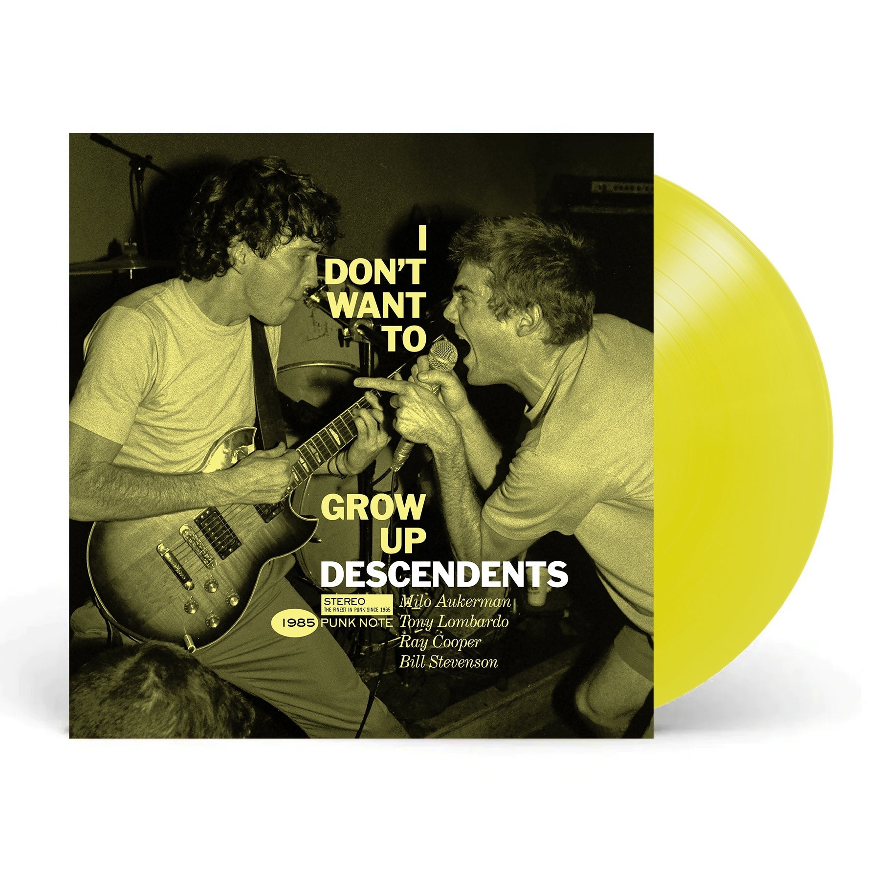 I Don't Want to Grow Up LP by Descendents album artwork