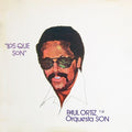 Los Que Son LP by Paul Ortiz y La Orquesta Son album artwork