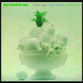 Our Kind of Sabi LP by John Surman album artwork