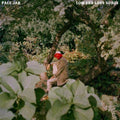 Low End Love Songs LP by Pale Jay album artwork