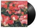Pedals LP by Rival Schools album artwork