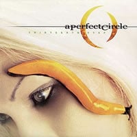 Thirteenth Step LP by A Perfect Circle album artwork