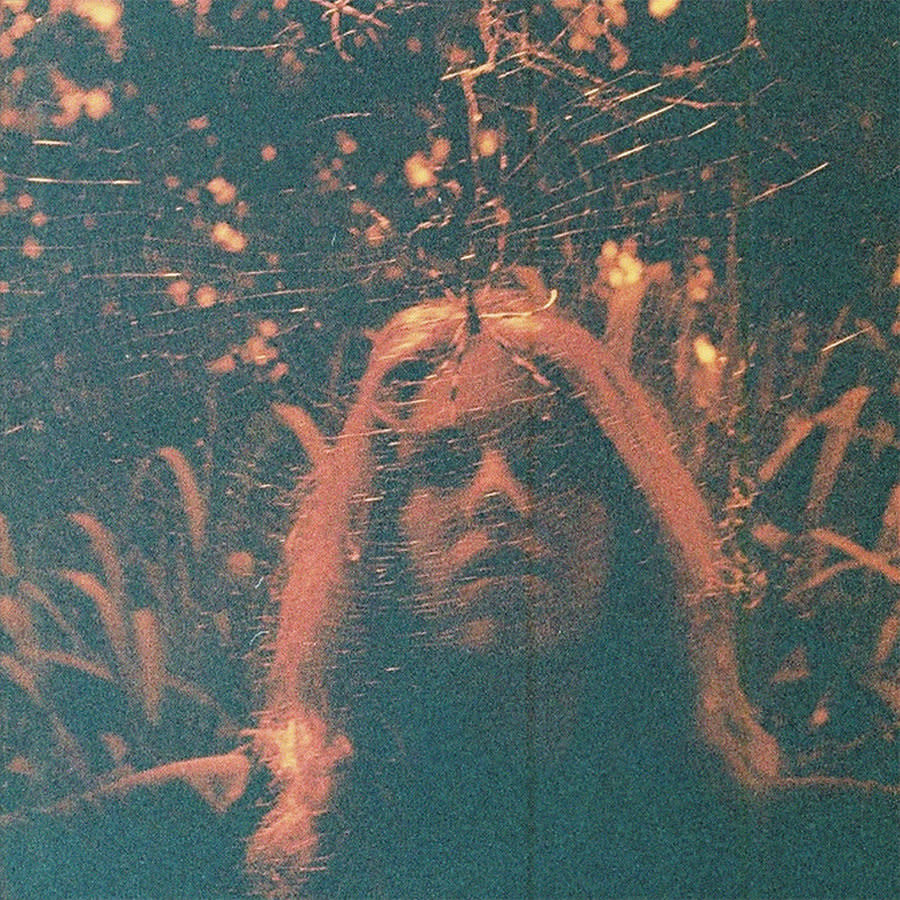 Peripheral Vision LP by Turnover album artwork