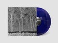 Sunshine & Balance Beams LP by Pile album artwork
