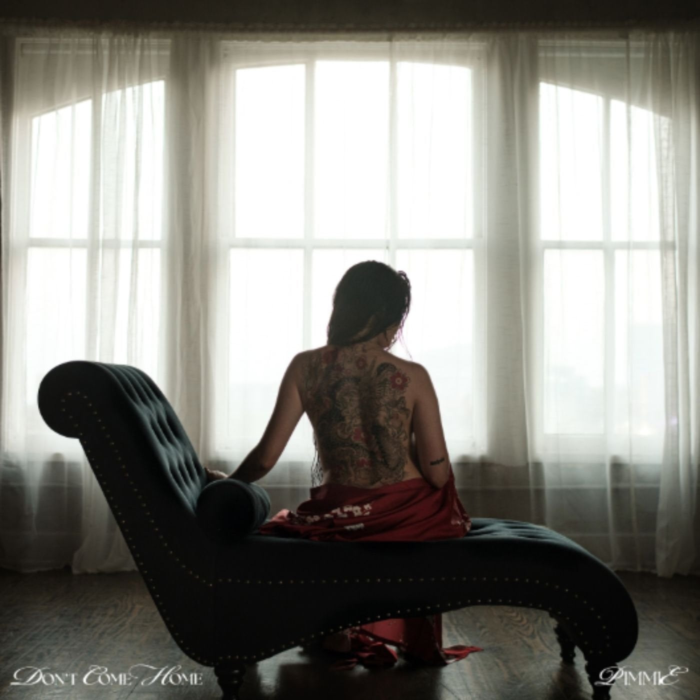 Don't Come Home LP by Pimmie album artwork