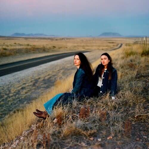 I Walked with You a Ways LP by Plains album artwork