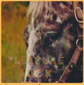 Pleasure Suck LP by Spirit of the Beehive album artwork