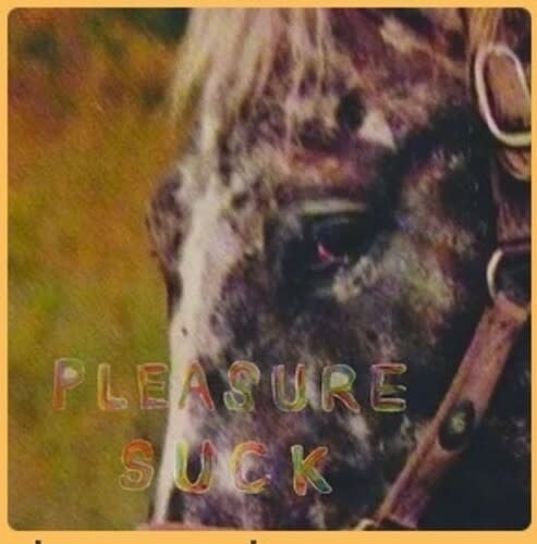 Pleasure Suck LP by Spirit of the Beehive album artwork