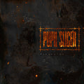 Fleshwork LP by Pupil Slicer album artwork
