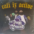 Cali Iz Active (blue vinyl) LP by Dogg Pound album artwork