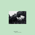 Girls in the Grass LP by Steve Hiett album artwork