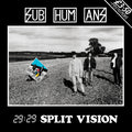 29:29 Split Vision LP by Subhumans album artwork