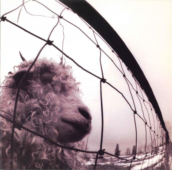 Vs. LP by Pearl Jam album artwork