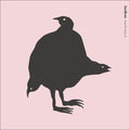 Rarities LP by Ane Brun album artwork