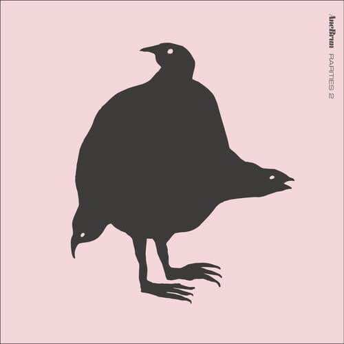 Rarities LP by Ane Brun album artwork