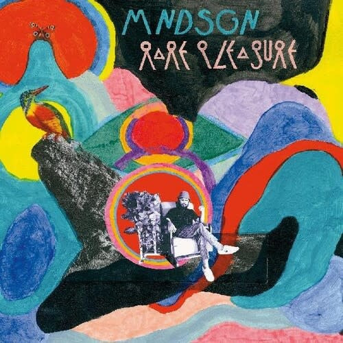 Rare Pleasure LP by Mndsgn album artwork