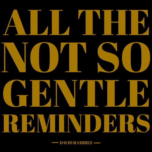 All The Not So Gentle Reminders 2LP by David Ramirez album artwork