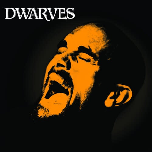 Rex Everything LP by Dwarves album artwork