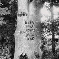 Even Your Drums Will Die: Live LP by Richard Swift album artwork