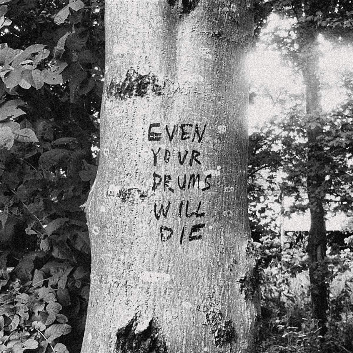Even Your Drums Will Die: Live LP by Richard Swift album artwork