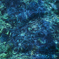 Luminescent Creatures LP by Ichiko Aoba album artwork