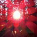 Empros LP by Russian Circles album artwork