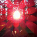 Empros LP by Russian Circles album artwork