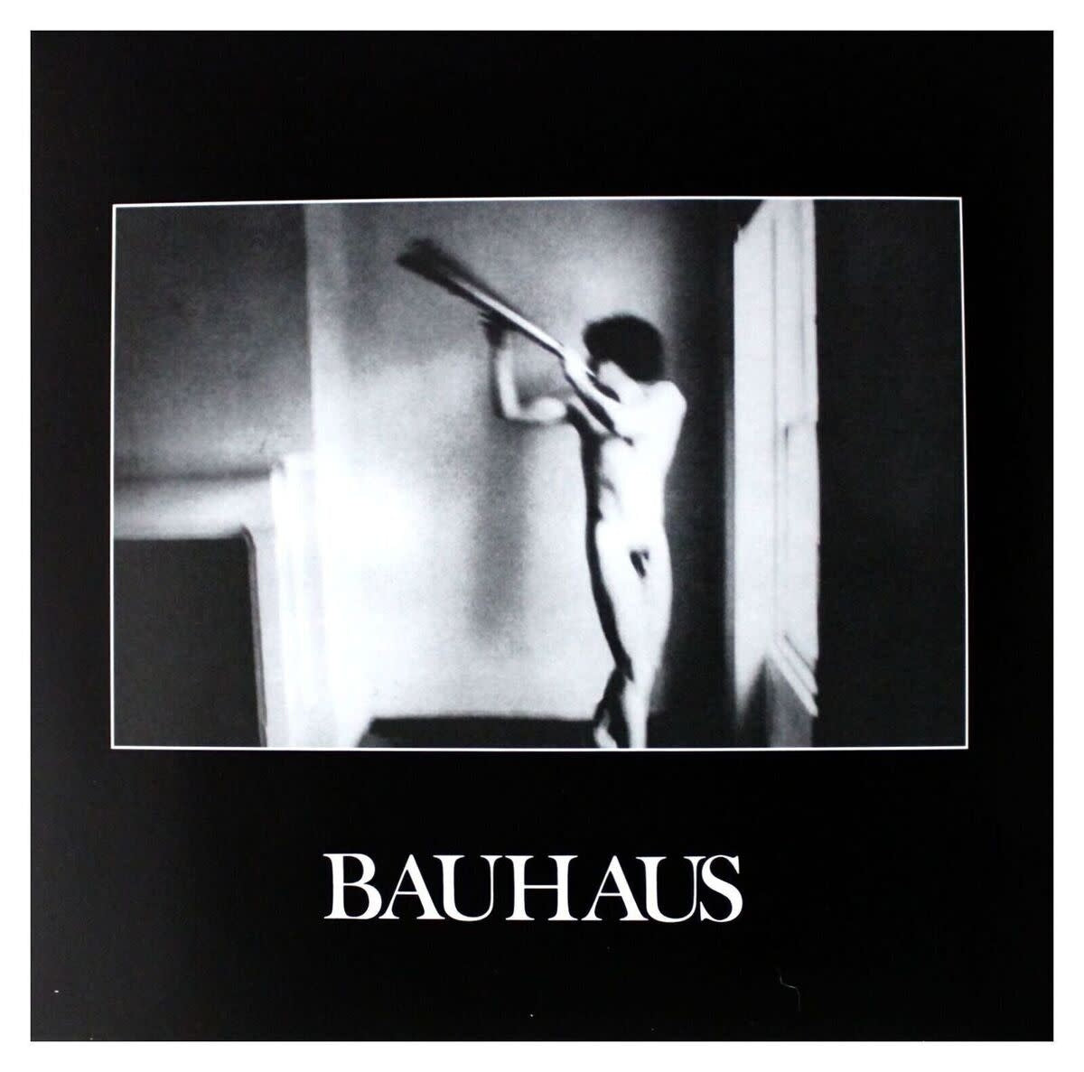 In the Flat Field LP by Bauhaus album artwork