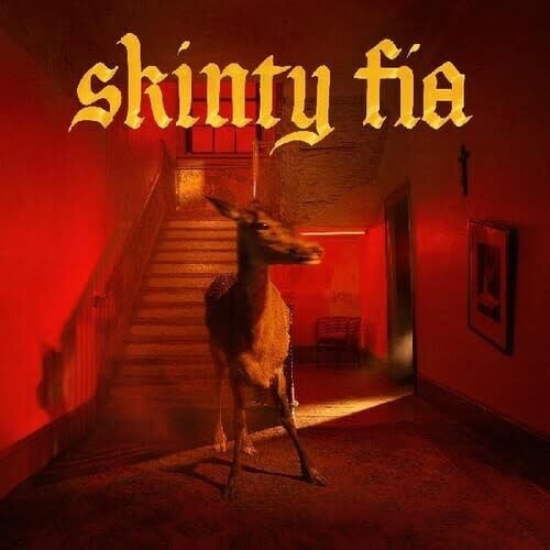 Skinty Fia LP by Fontaines D.C. album artwork