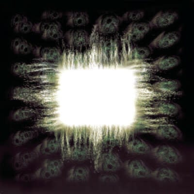Aenima CD by Tool album artwork