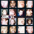All Killer No Filler LP by Sum 41 album artwork