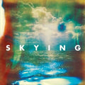 Skying LP by The Horrors album artwork
