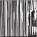 Harsh 70s Reality 2LP by The Dead C album artwork