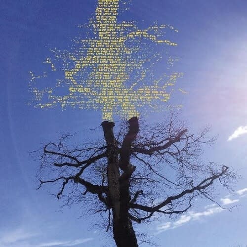 Rooting for Love LP by Laetitia Sadier album artwork