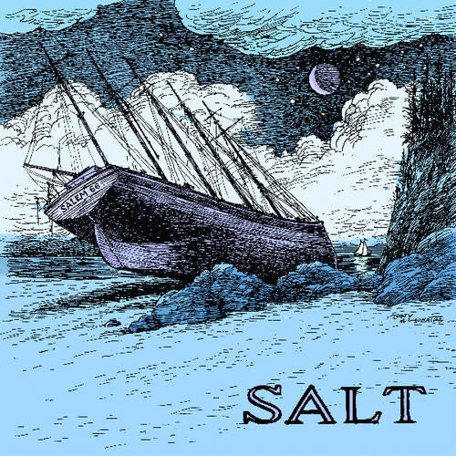 Salt LP by Salem 66 album artwork