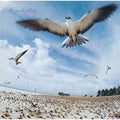 Seychelles LP by Masayoshi Takanaka album artwork