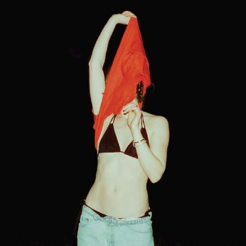 Someone Should Stop Her LP by Anna Shoemaker album artwork