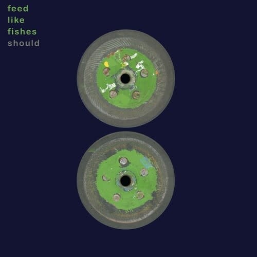 Feed Like Fishes 2LP by Should album artwork