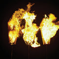 Trouble the Water LP by Show Me the Body album artwork