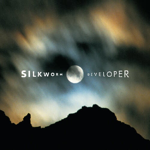 Developer 2LP by Silkworm album artwork