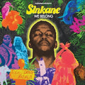 We Belong LP by Sinkane album artwork