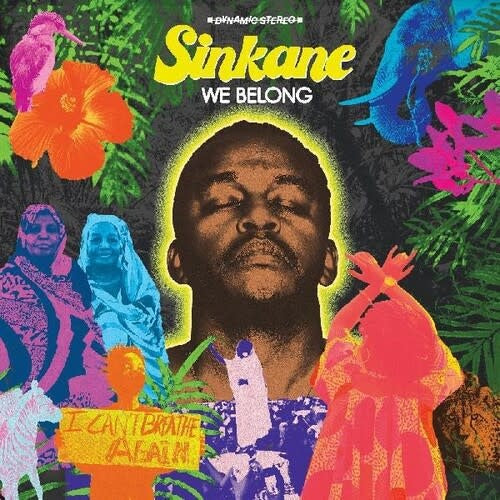 We Belong LP by Sinkane album artwork