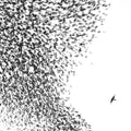 Sky Blue Sky 2LP by Wilco album artwork