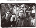 Rotten Apples: Greatest Hits 2LP by Smashing Pumpkins album artwork