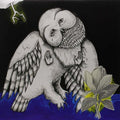 Magnolia Electric Co. 2LP by Songs: Ohia album artwork