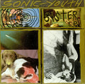 Sister LP by Sonic Youth album artwork