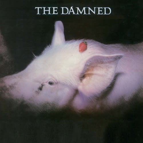 Strawberries CD by The Damned album artwork
