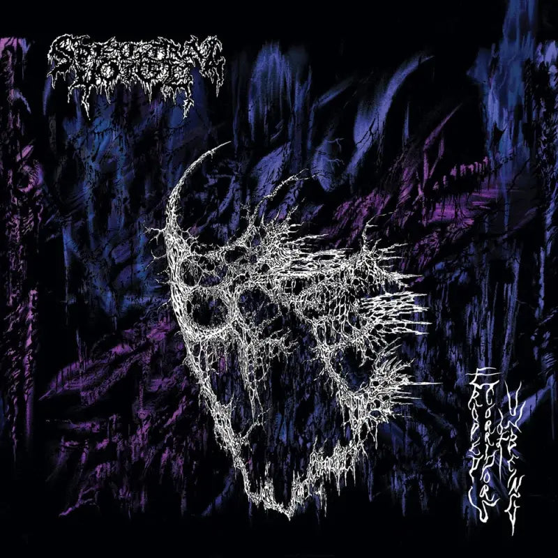 Eroded Corridors of Unbeing CD by Spectral Voice album artwork
