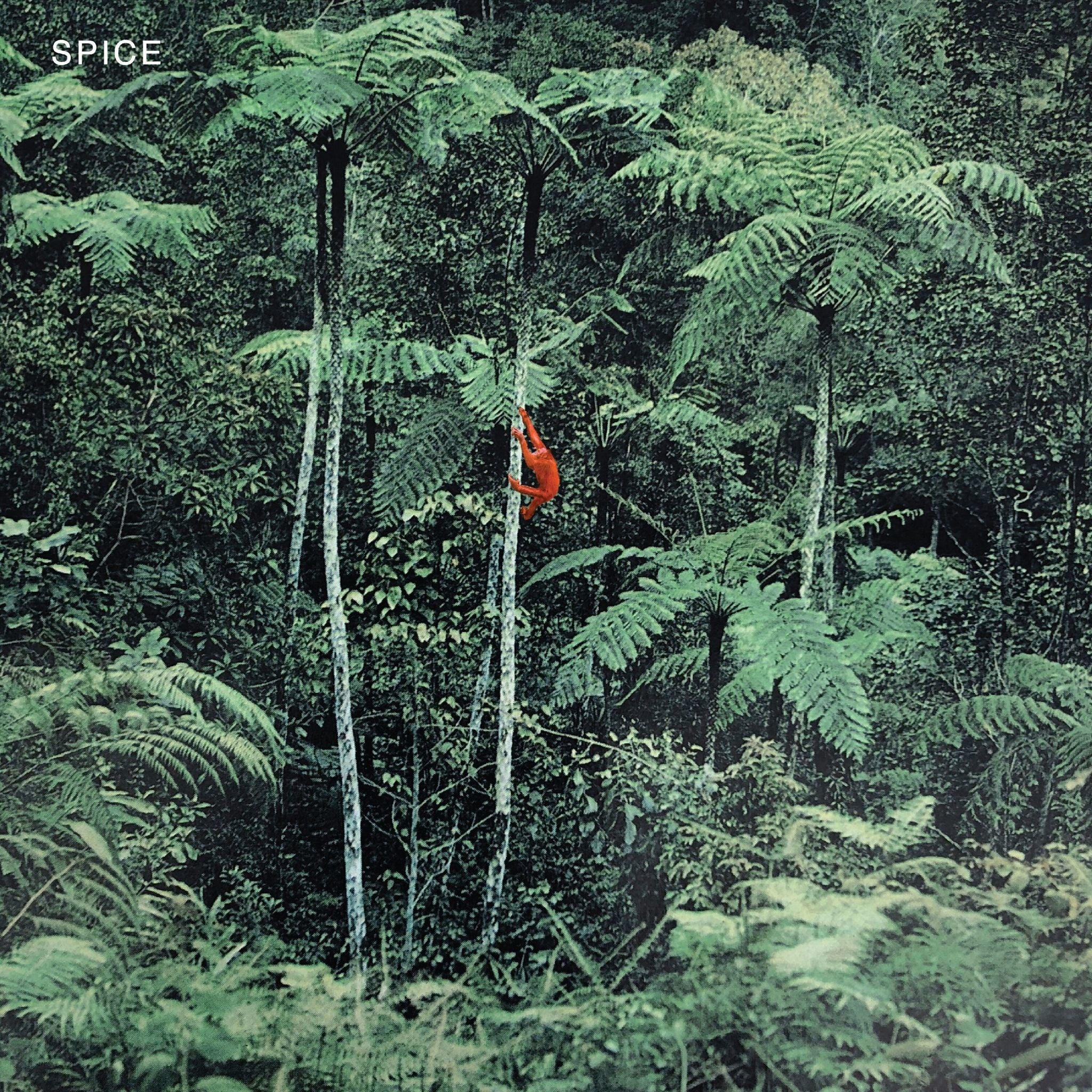 Self-Titled by Spice album artwork