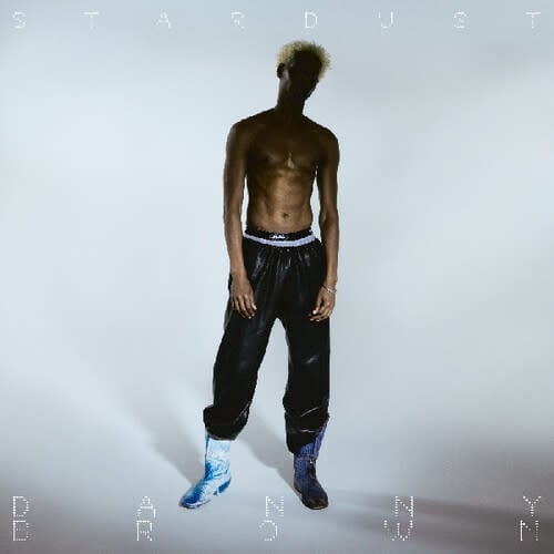 Stardust LP by Danny Brown album artwork